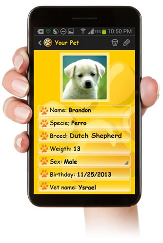 Pet Alarm, Pets, Care Pets, Pets Health